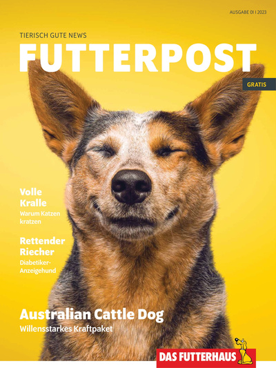 FUTTERPOST Catalog preview