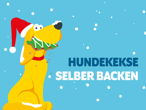 [Translate to Österreich:] DAS FUTTERHAUS Weihnachtskekse für Hunde backen
