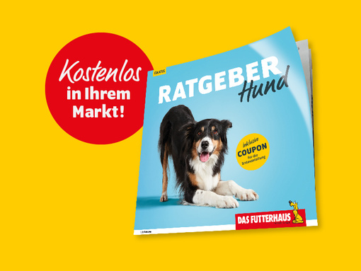 Neuer Hunde-Ratgeber von DAS FUTTERHAUS