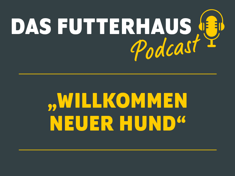 Podcast von DAS FUTTERHAUS: Folge 2