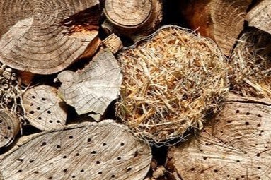 Das Insektenhotel