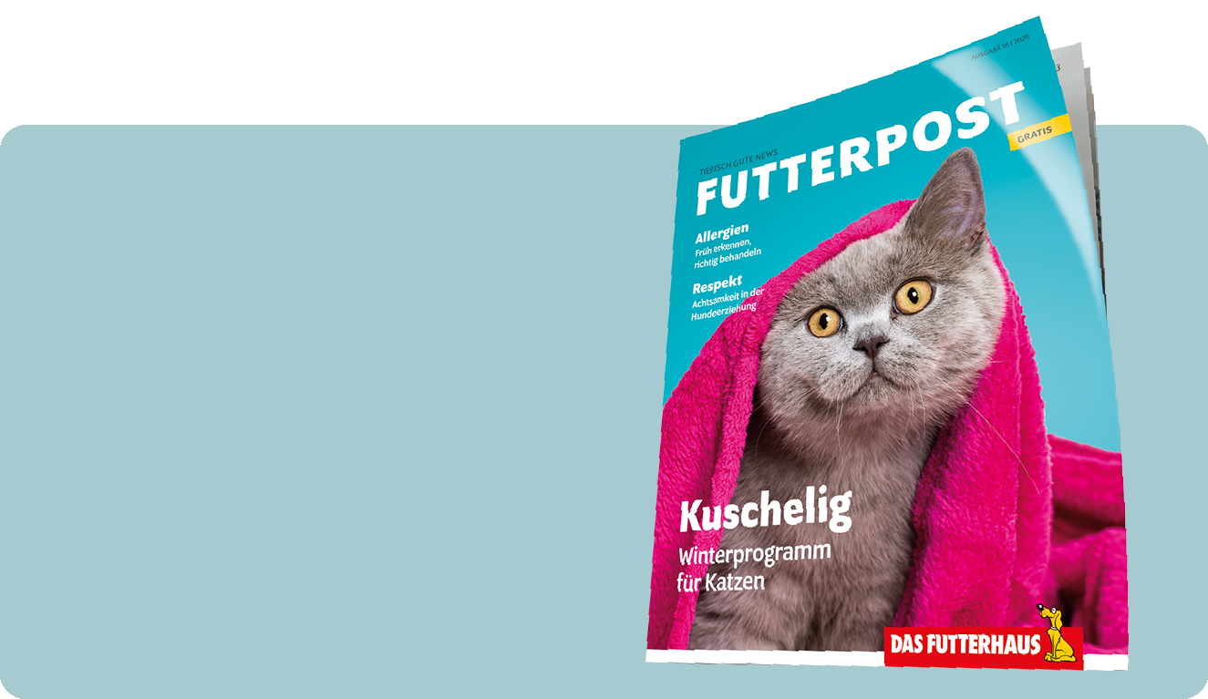 Zur Futterpost