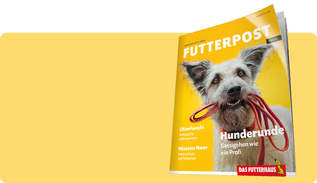 Zur Futterpost