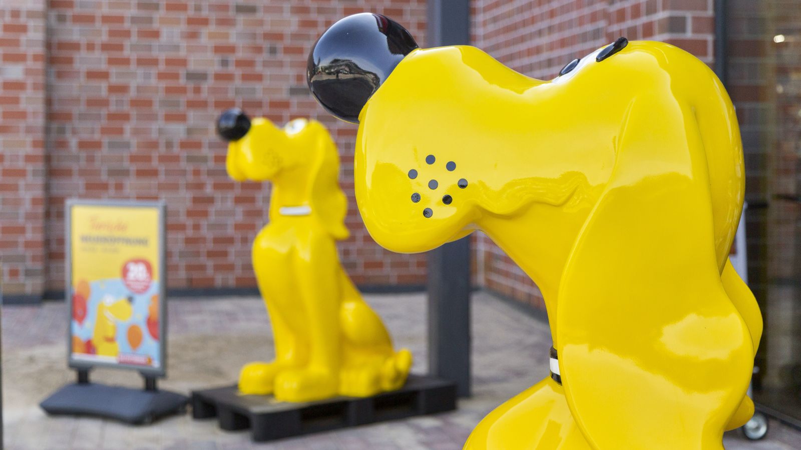 DAS FUTTERHAUS Bargteheide Gelber Hund