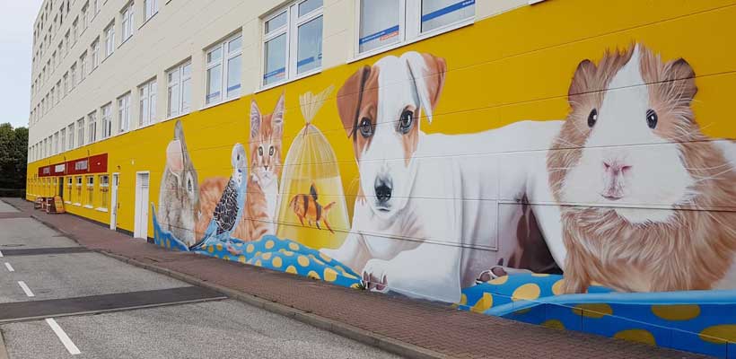 DAS-FUTTERHAUS-Schwerin-Grosser-Dreesch1