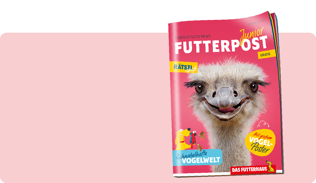 FUTTERPOST Junior