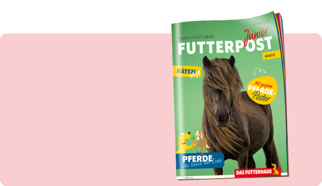 FUTTERPOST Junior