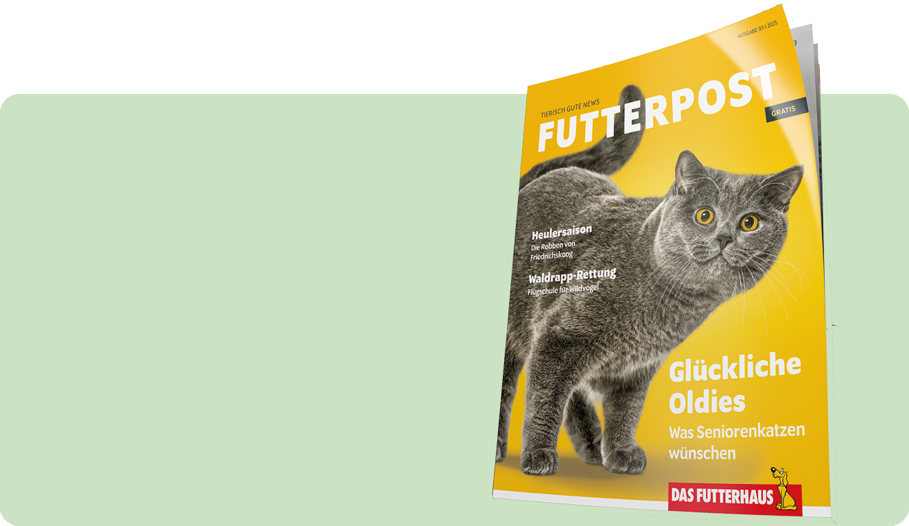 FUTTERPOST