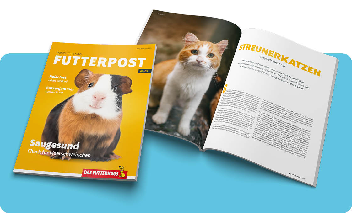 Die FUTTERPOST