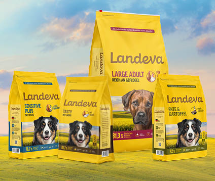 Landeva Adult für ausgewachsene Hunde