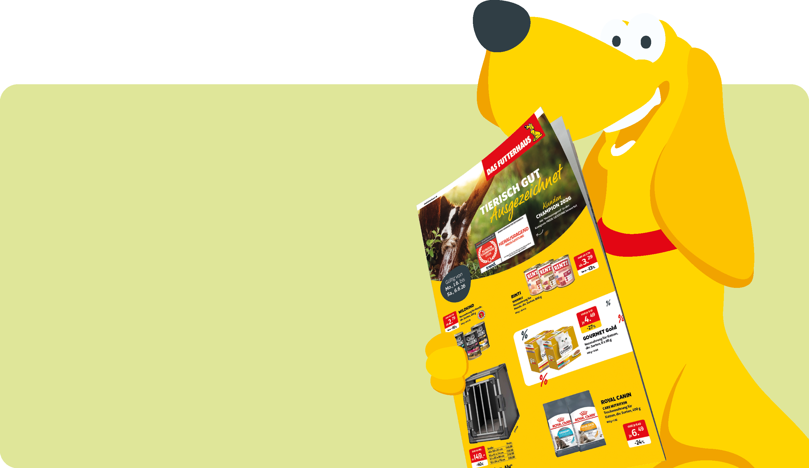 Unser Flugblatt ist da