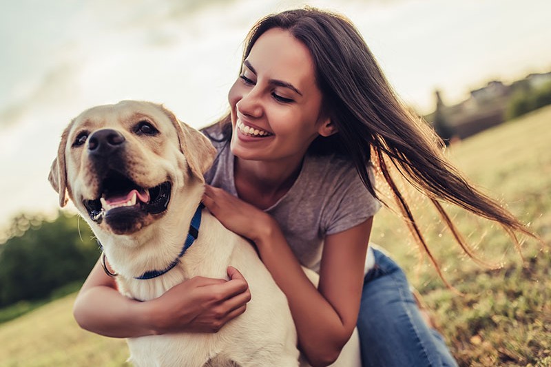 Welcher Hund passt zu mir