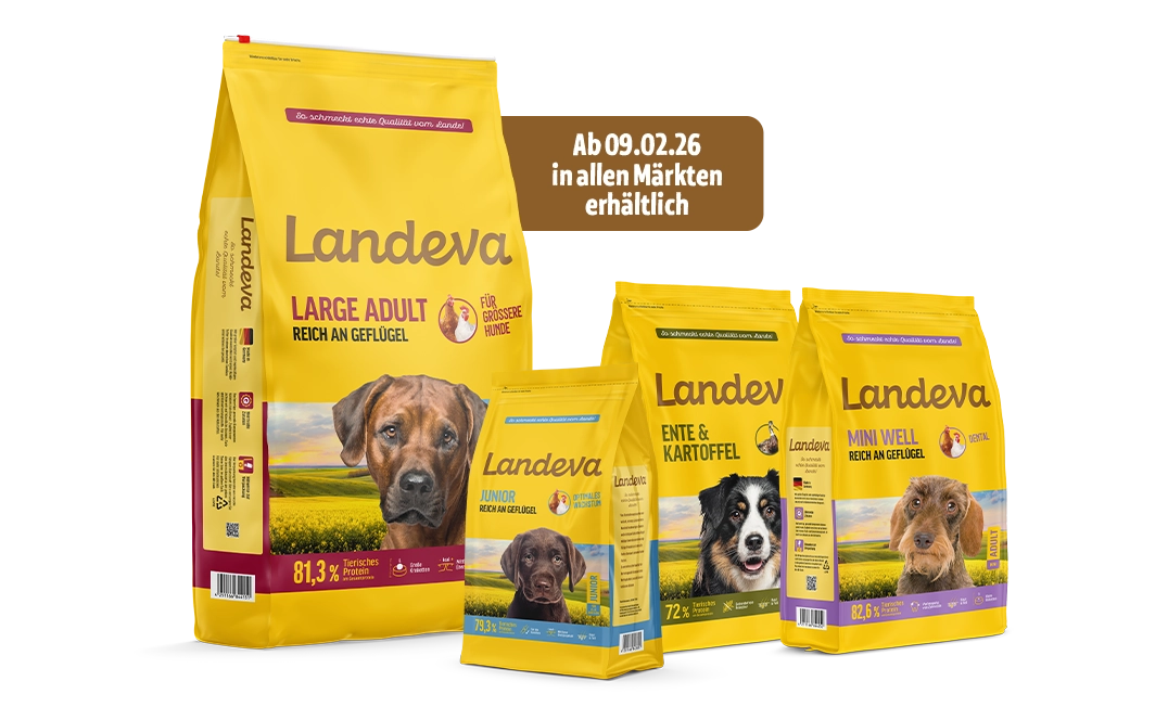 Landeva Hundetrockenfutter bei DAS FUTTERHAUS: Ab 9.2.2026 in allen Märkten erhältlich