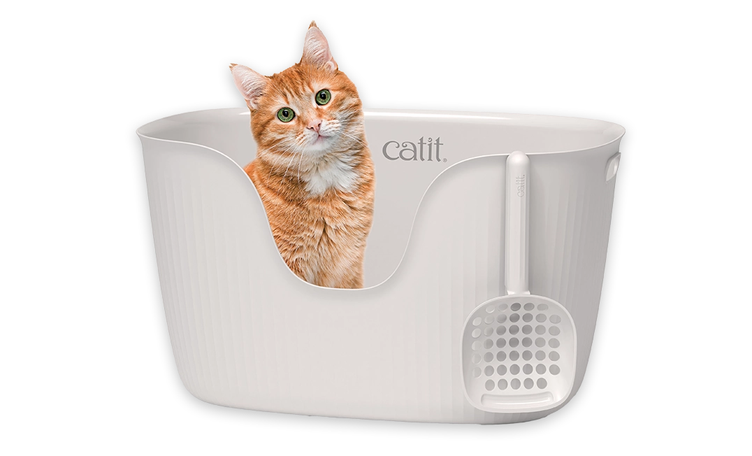 Eine Katze sitzt in der Katzentoilette CATIT Loo