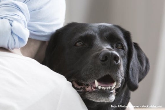 Tiergestützte Therapie