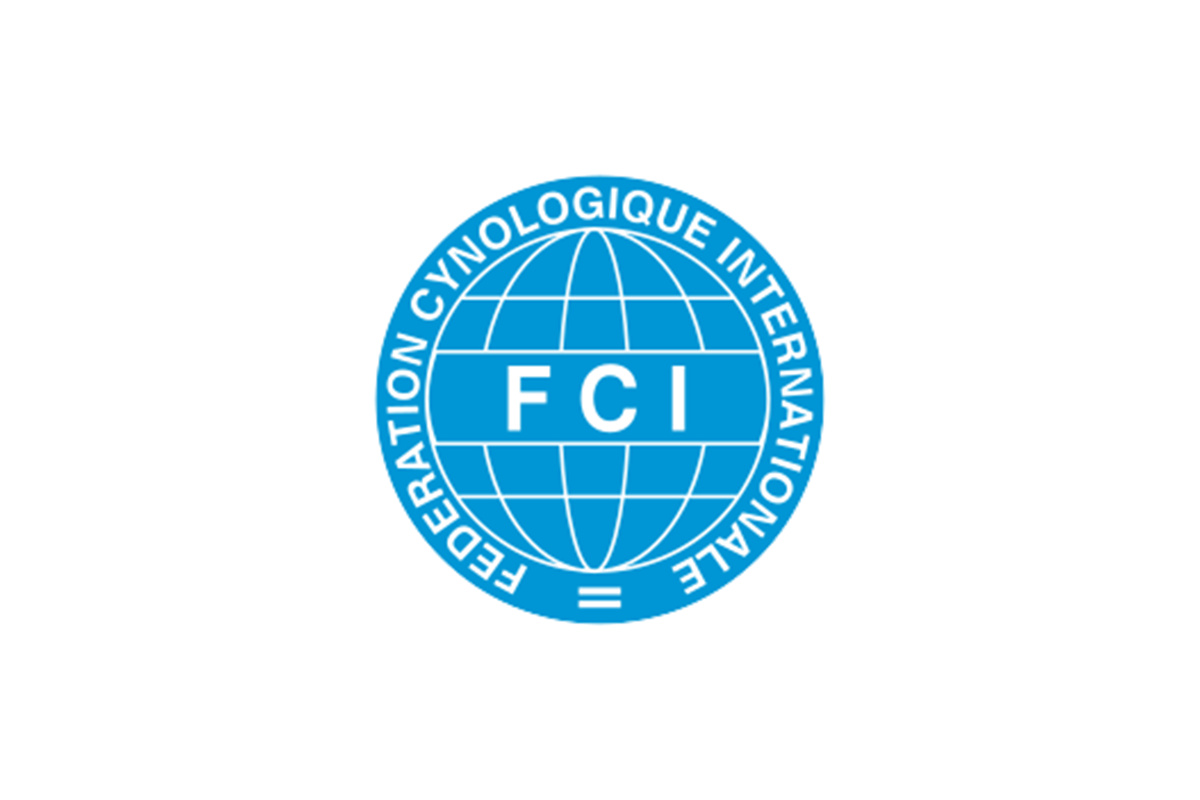 FCI-Gruppen