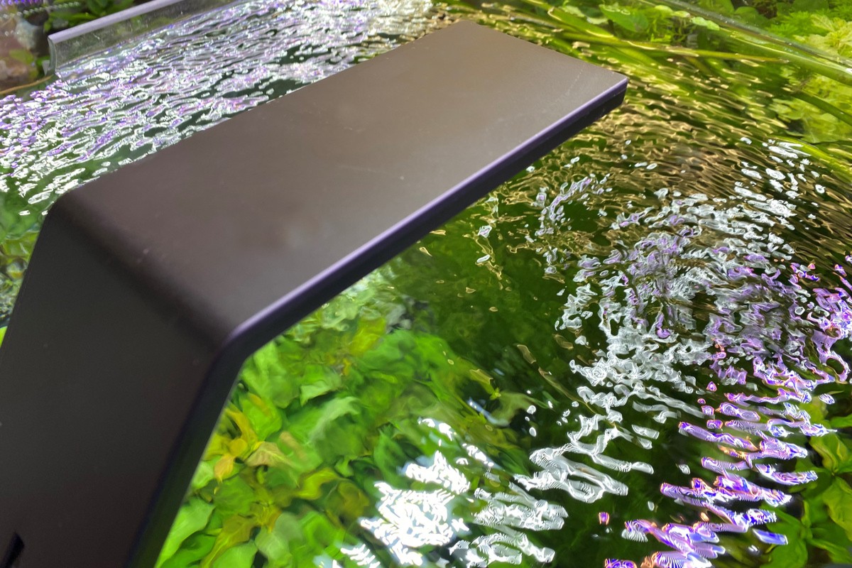 Technik eines Süsswasseraquariums