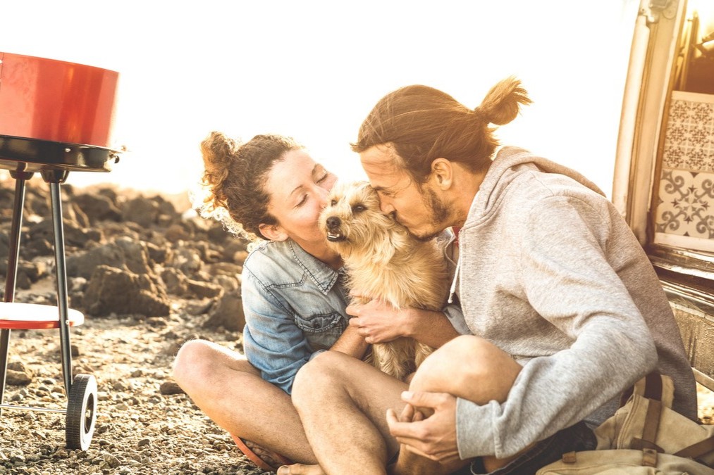 Reisen und Urlaub mit Hund