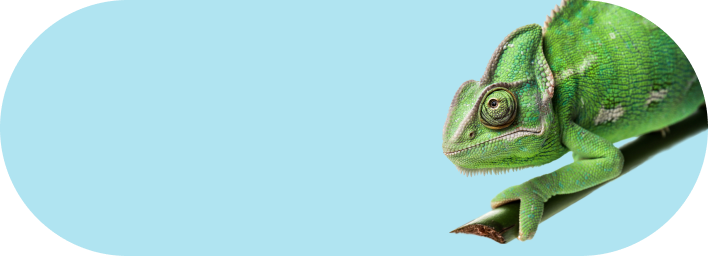 Terraristik
