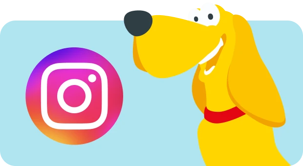 Folgen Sie uns auf Instagram