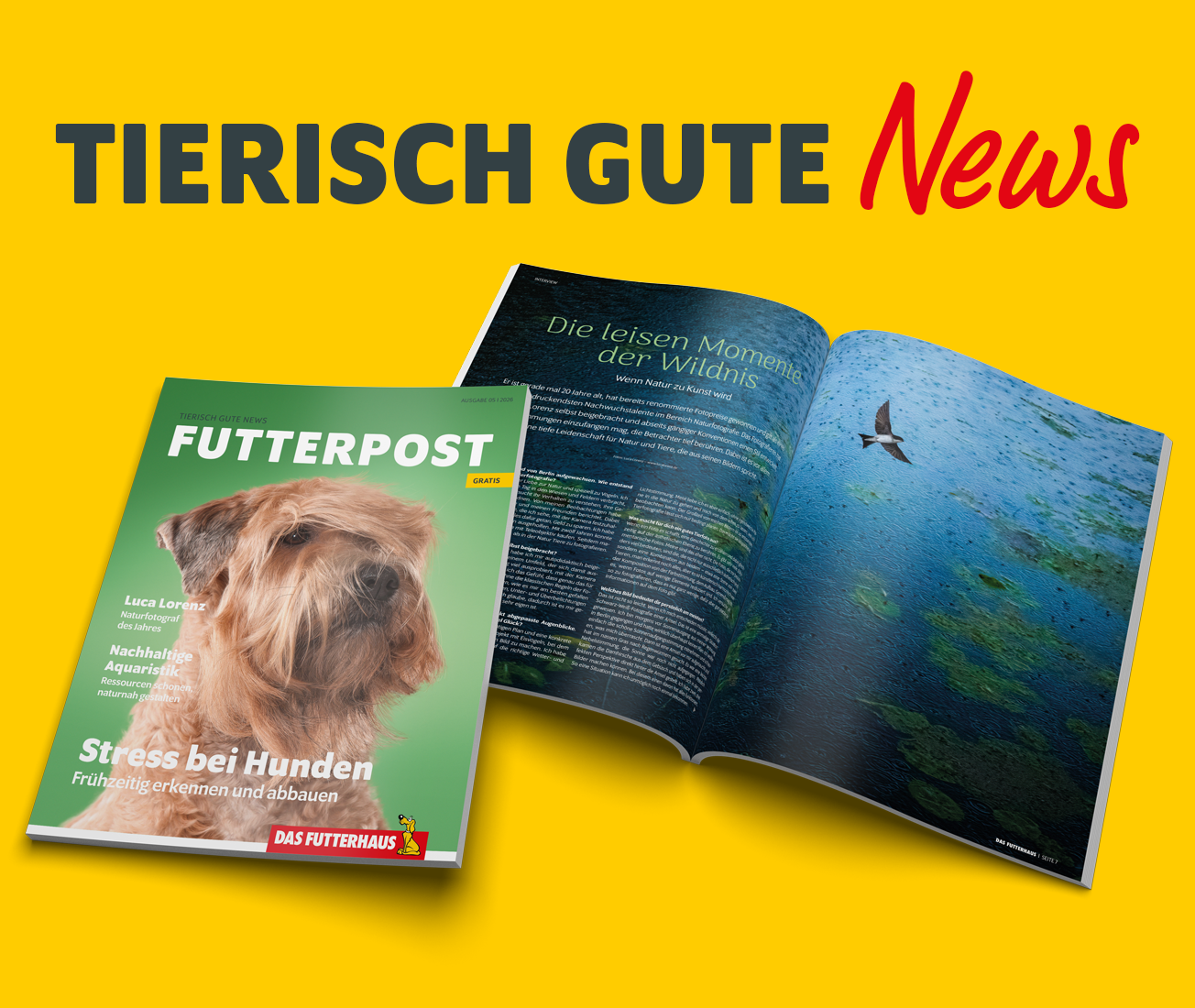 Futterpost-Oktober-2026