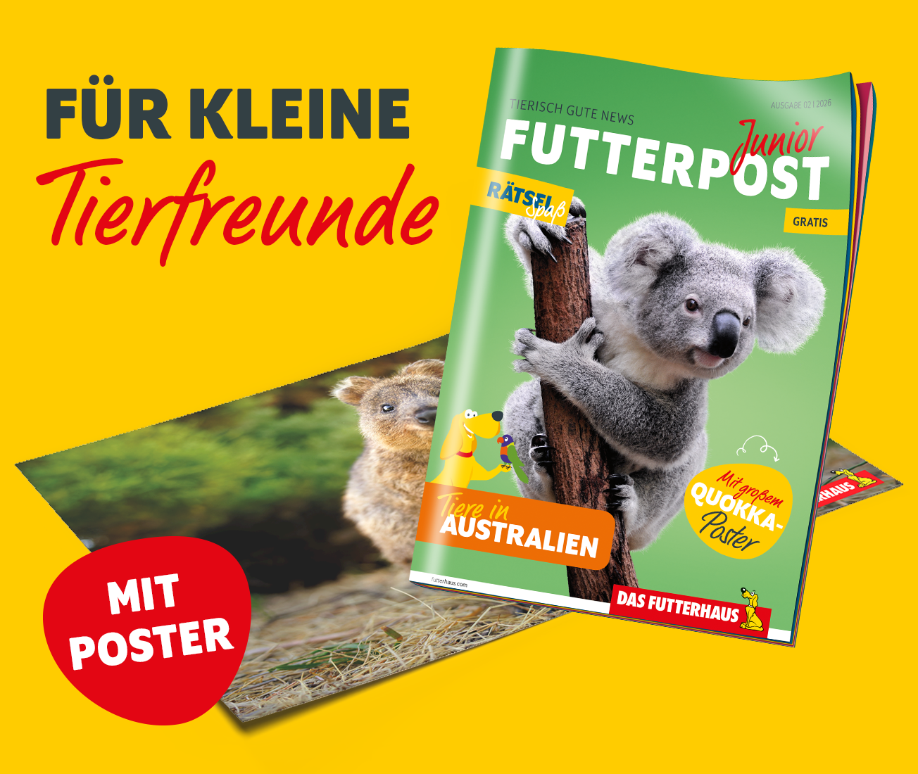 FUTTERPOST Junior Ausgabe 02|26 mit einem Koala auf dem Titelblatt