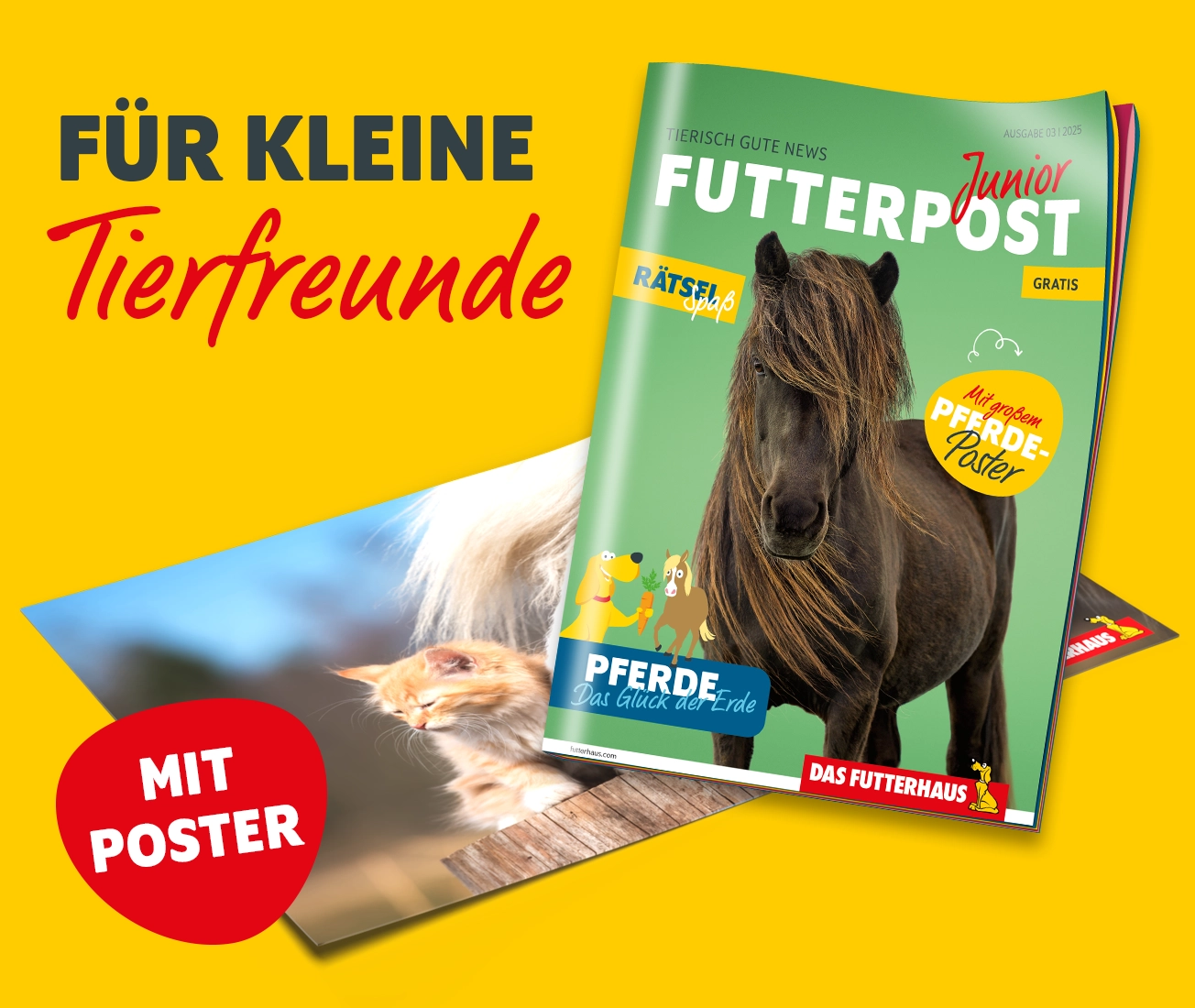 FUTTERPOST Junior Ausgabe 3/25