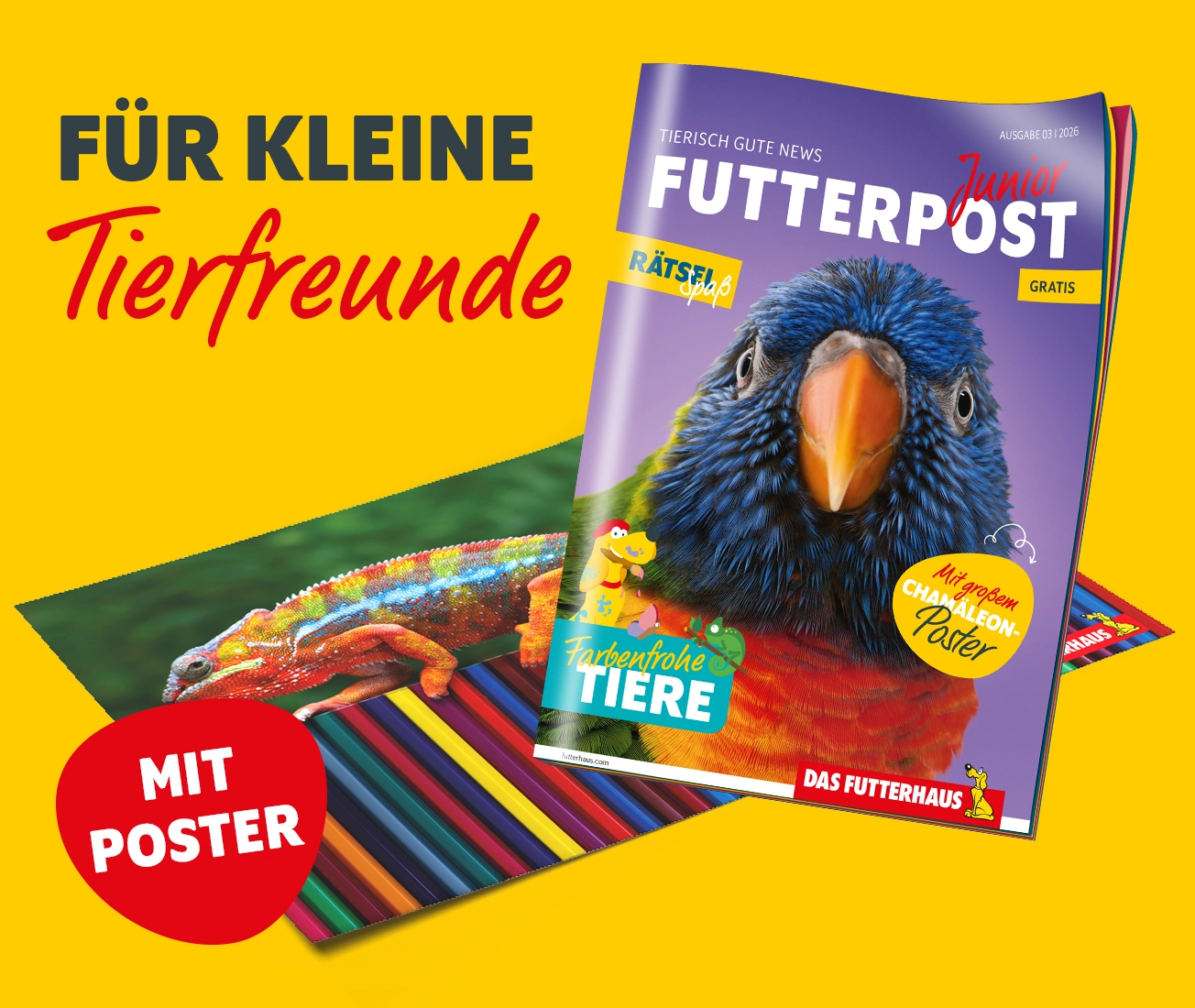 FUTTERPOST Junior Ausgabe 3|2026